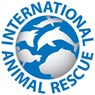 International Animal Rescue